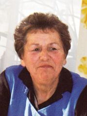 Aster Margarita